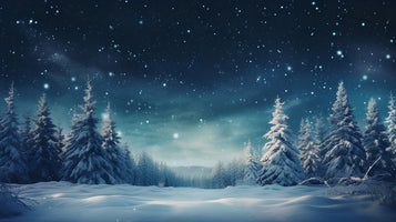 photo-wallpaper-winter-night-landscape-snowy-forest-and-fir-branches