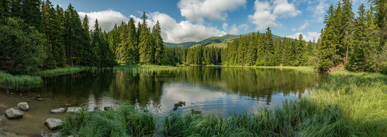 photo-wallpaper-lake-in-the-forest-in-lower-tatra-mountains