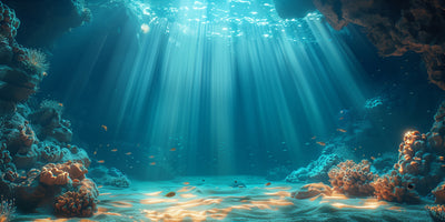 photo-wallpaper-sunlight-filters-through-the-water-in-an-underwater-scene-banner