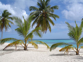 photo-wallpaper-iles-turkoises-beach-bahamas