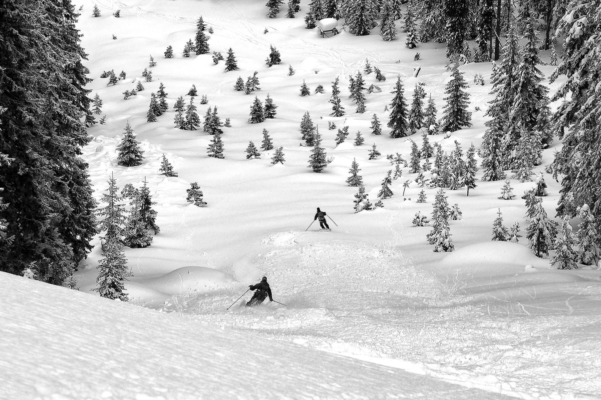photo-wallpaper-freeriders-x