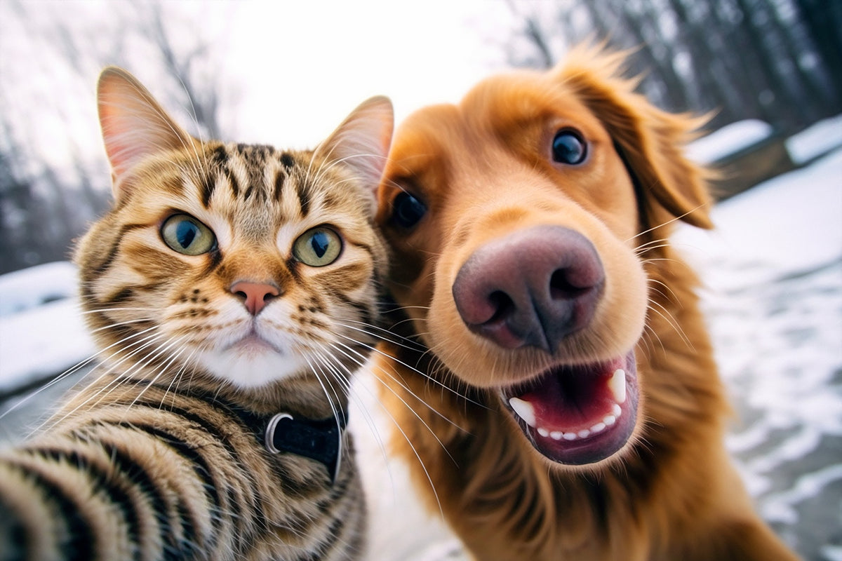 photo-wallpaper-cat-and-dog-best-friends-taking-a-selfie-shot-generative-ai