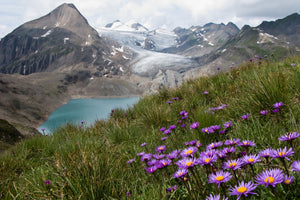 photo-wallpaper-corno-gries-switzerland-x