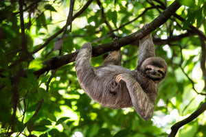 photo-wallpaper-relaxed-hanging-out