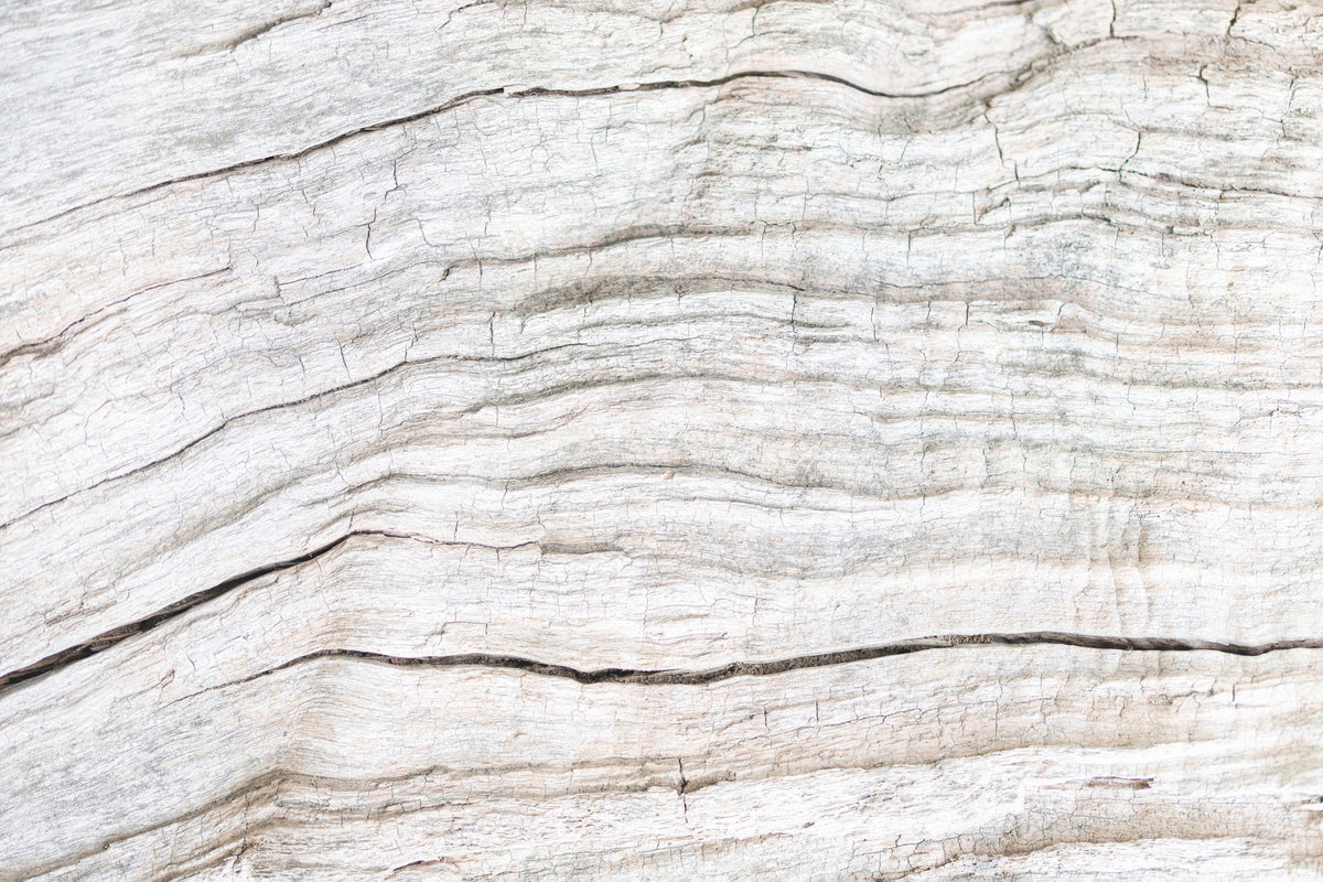 photo-wallpaper-rustic-white-wood-texture