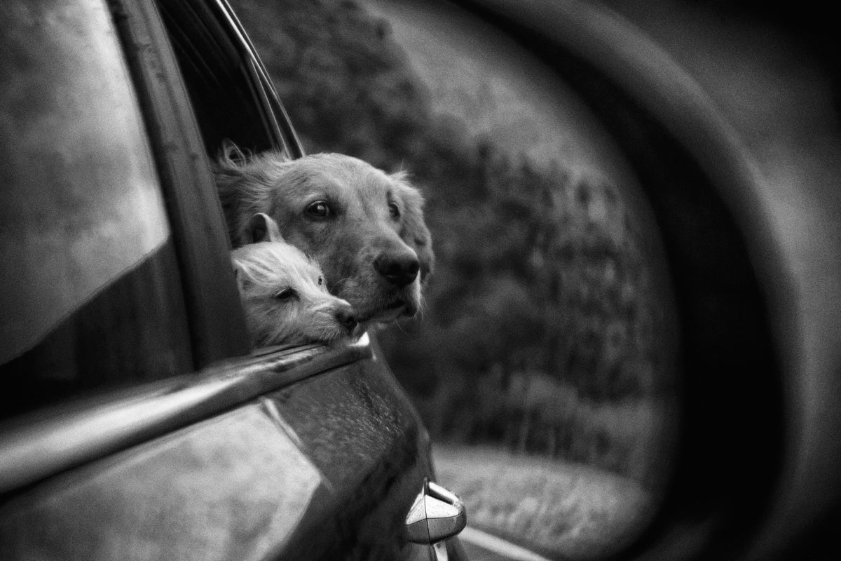photo-wallpaper-roadtrip-x