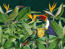 photo-wallpaper-vibrant-jungle-birds
