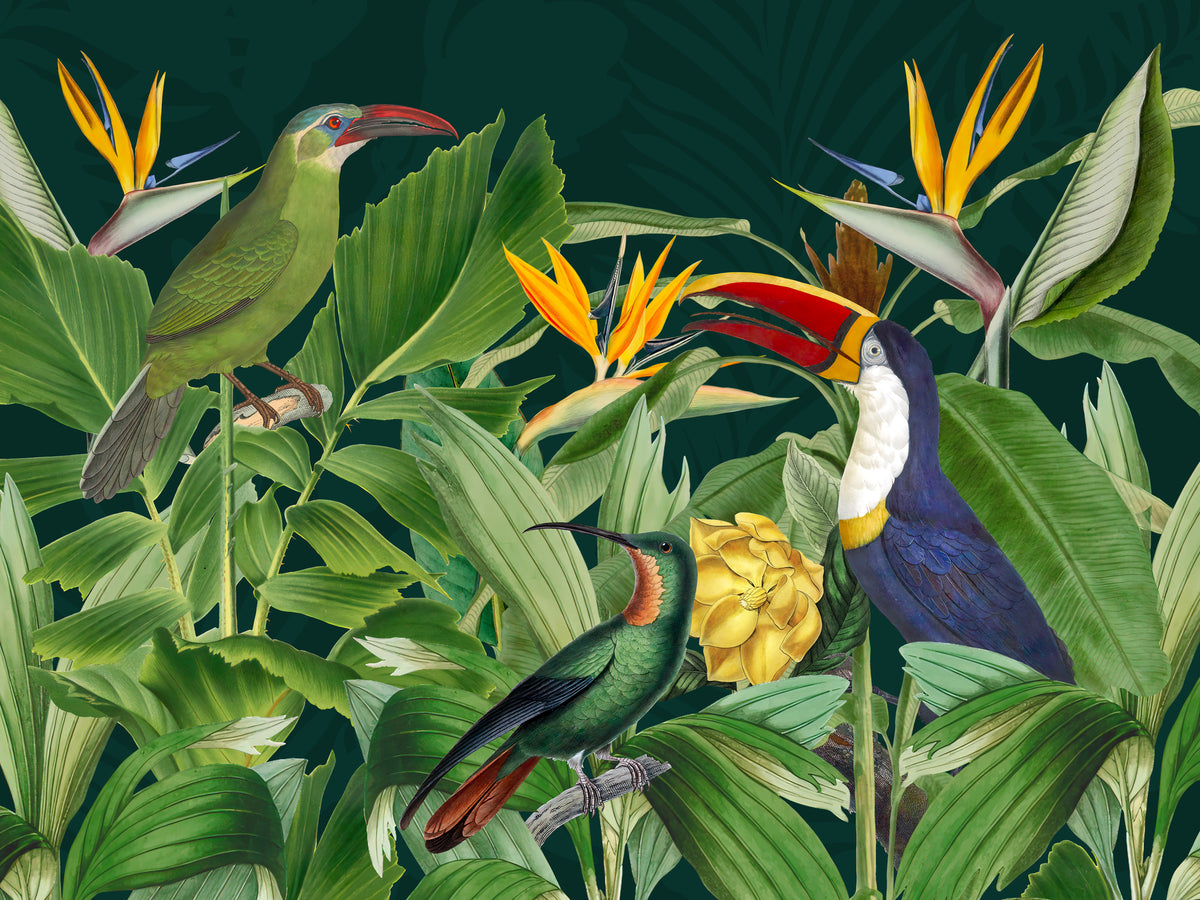 photo-wallpaper-vibrant-jungle-birds