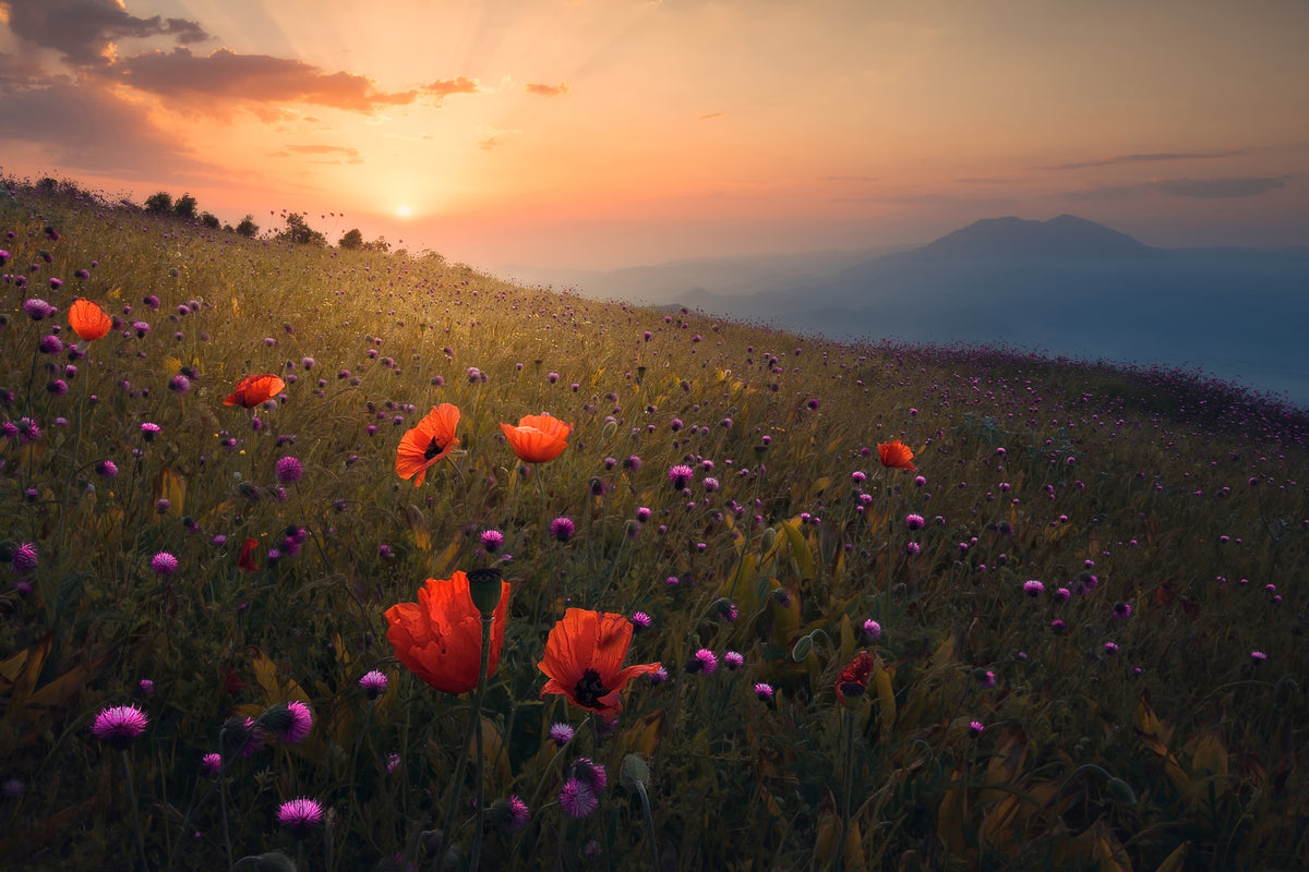 photo-wallpaper-rudbar-heights-in-spring-x