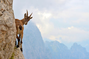 photo-wallpaper-suspense
