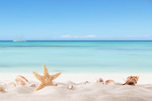 photo-wallpaper-summer-beach-with-strafish-and-shells
