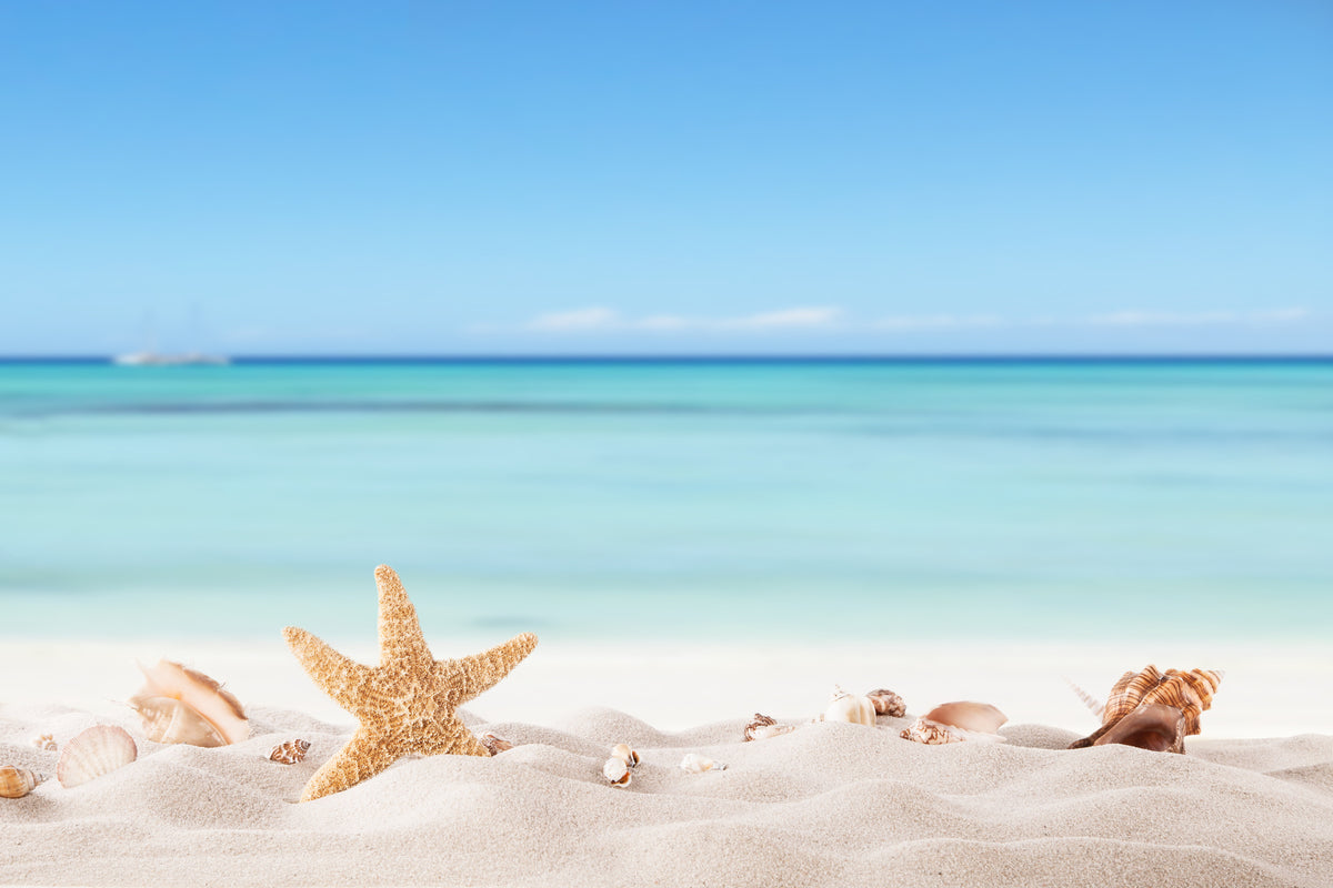 photo-wallpaper-summer-beach-with-strafish-and-shells