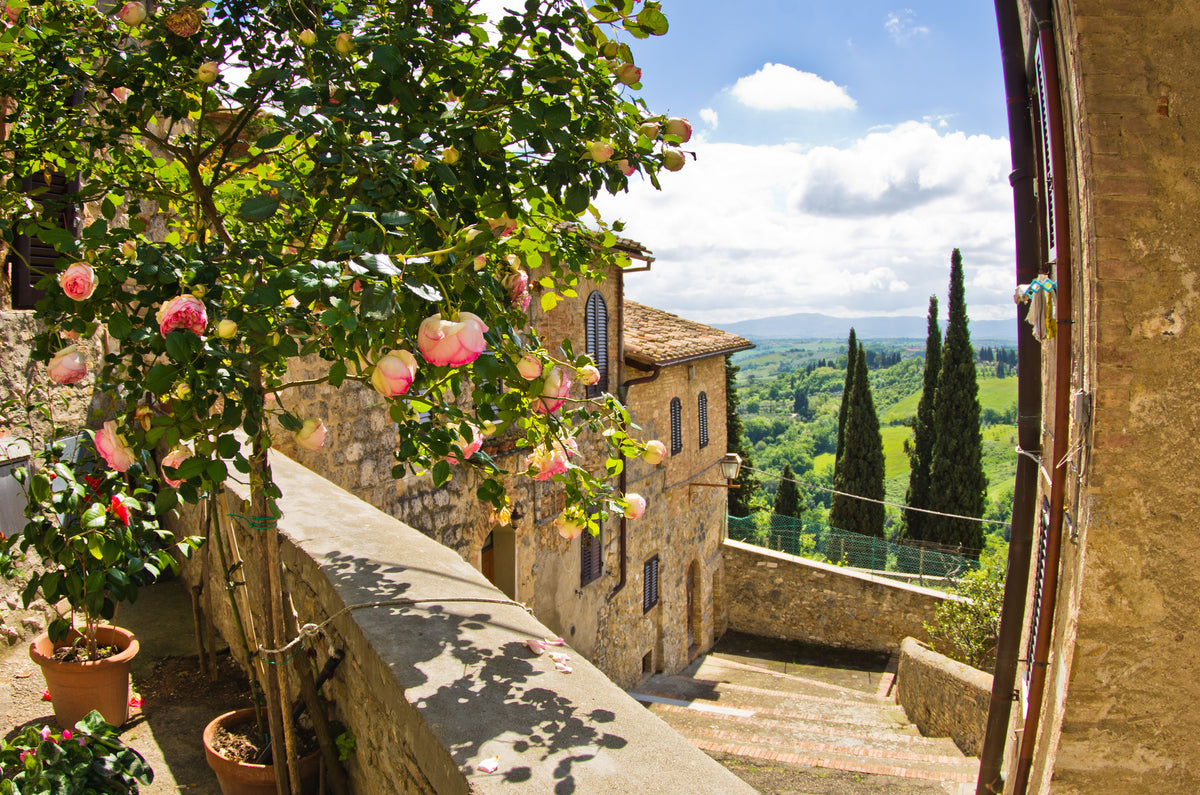 photo-wallpaper-roses-at-balcony-in-san-gimignano-tuscany-landscape-background