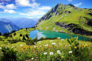 photo-wallpaper-seealpsee-2