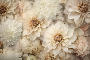 photo-wallpaper-creamy-dahlia-blooms