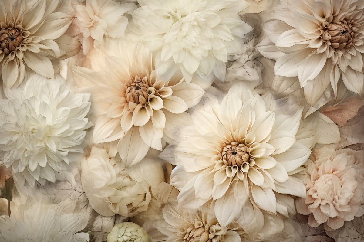 photo-wallpaper-creamy-dahlia-blooms