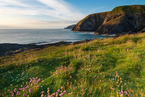 photo-wallpaper-beautiful-coastal-view-with-flowers-ceibwr-bay-pembrokeshire-wales
