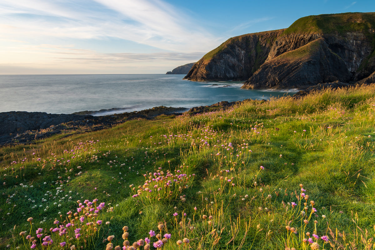 photo-wallpaper-beautiful-coastal-view-with-flowers-ceibwr-bay-pembrokeshire-wales