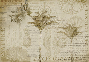 photo-wallpaper-tropical-botanical-exploration