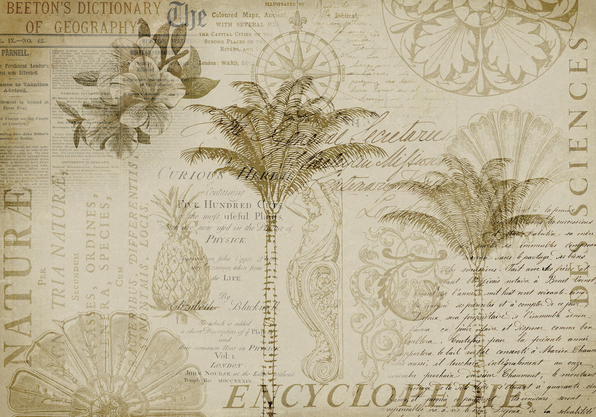 photo-wallpaper-tropical-botanical-exploration