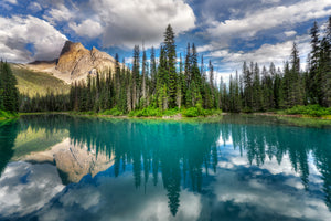 photo-wallpaper-emerald