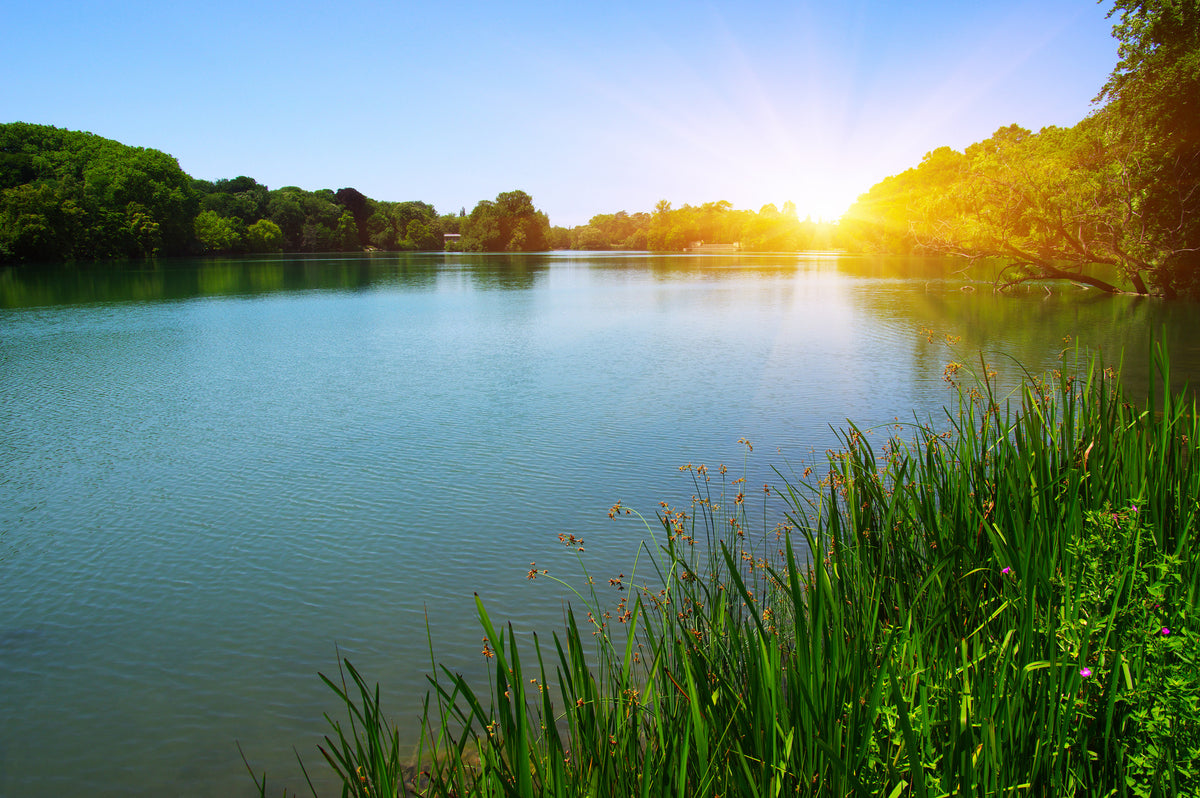 photo-wallpaper-lake-water-and-sun