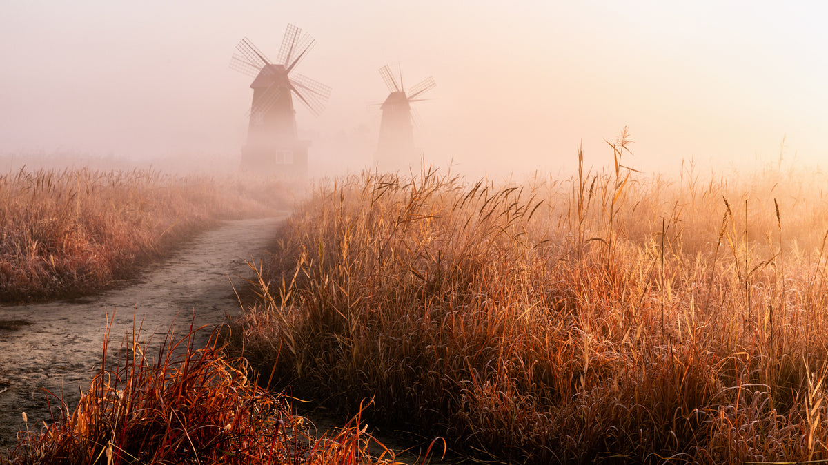 photo-wallpaper-golden-fog-windmills