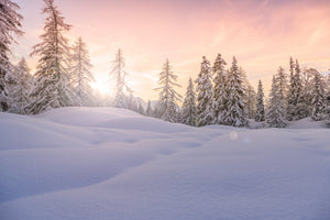 photo-wallpaper-winter-landscape-near-vogel-ski-center