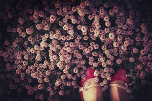 photo-wallpaper-thyme-carpet-x