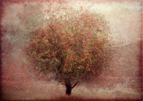 photo-wallpaper-rustic-berry-tree