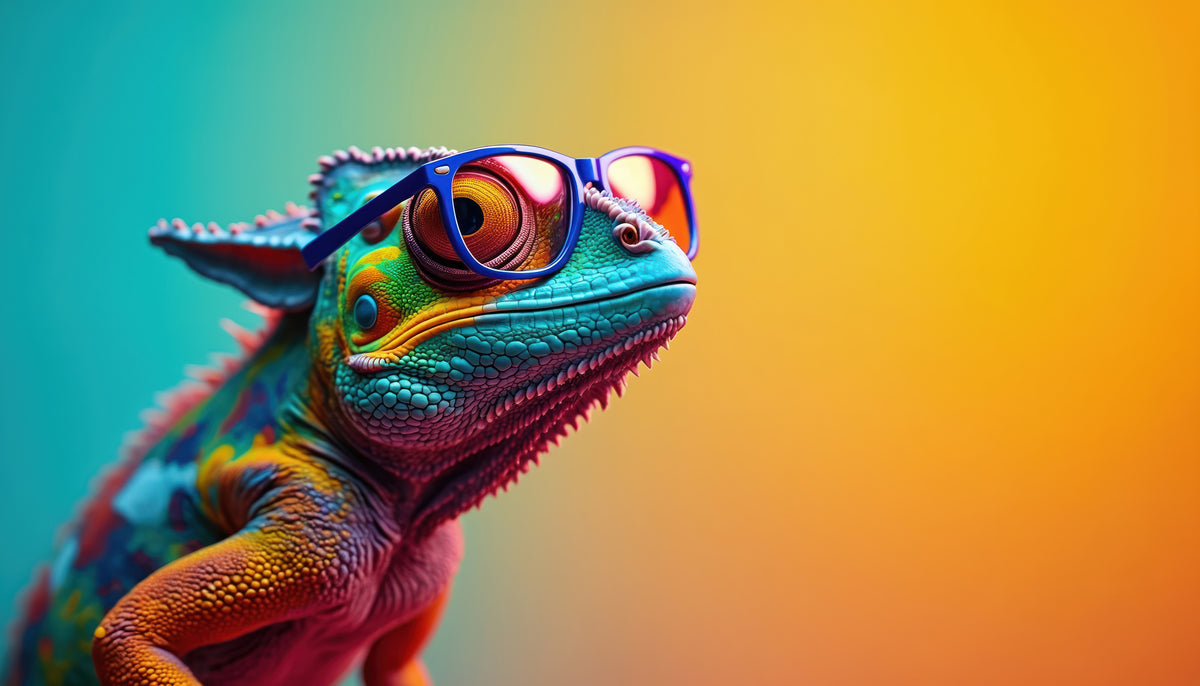 photo-wallpaper-chameleon-in-blue-sunglasses-against-turquoise-and-orange