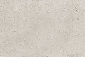 photo-wallpaper-subtle-wall-texture