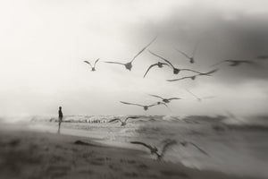 photo-wallpaper-quiet-dreams-x