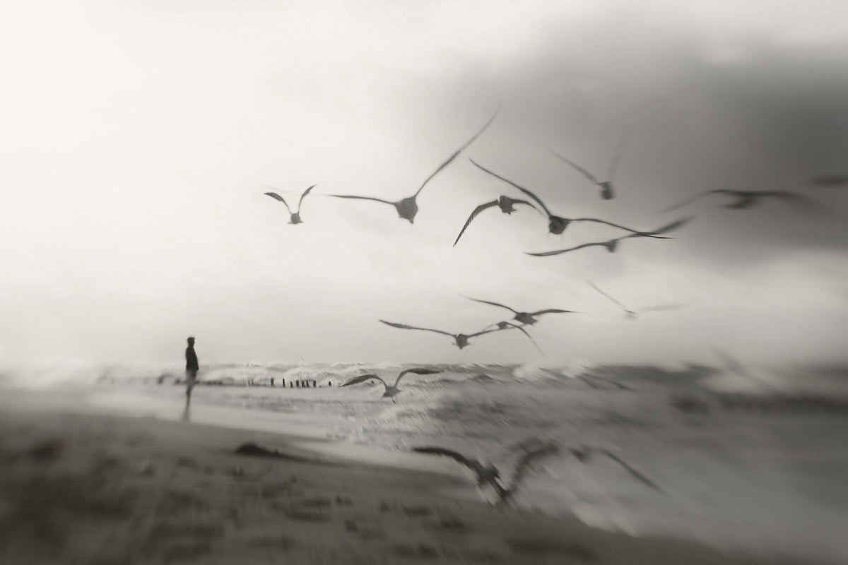 photo-wallpaper-quiet-dreams-x