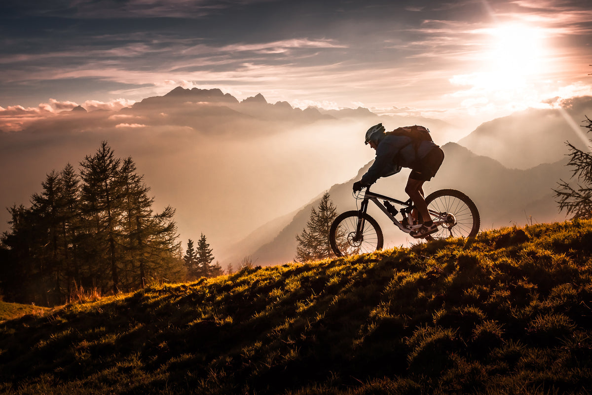 photo-wallpaper-golden-hour-biking-x
