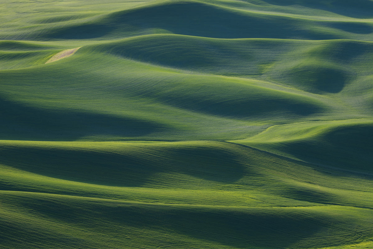 photo-wallpaper-emerald-field-waves