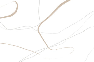 photo-wallpaper-beige-and-gray-lines-on-a-white-background