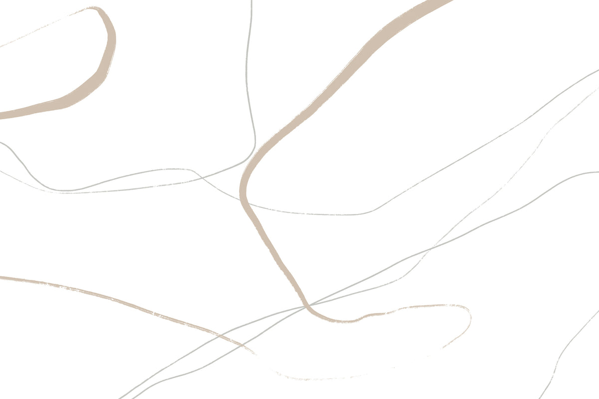photo-wallpaper-beige-and-gray-lines-on-a-white-background