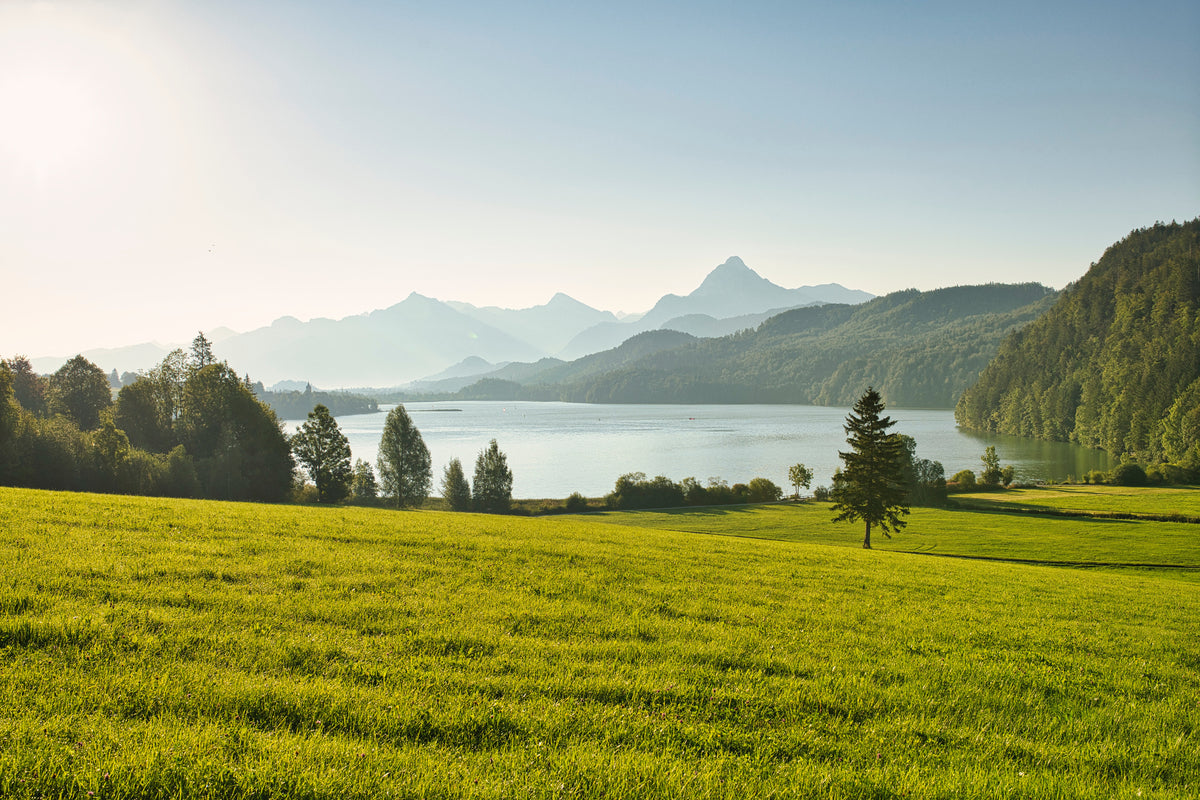photo-wallpaper-a-large-green-field-with-a-lake-and-mountains-in-the-background