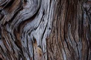 photo-wallpaper-weathered-wood-detail