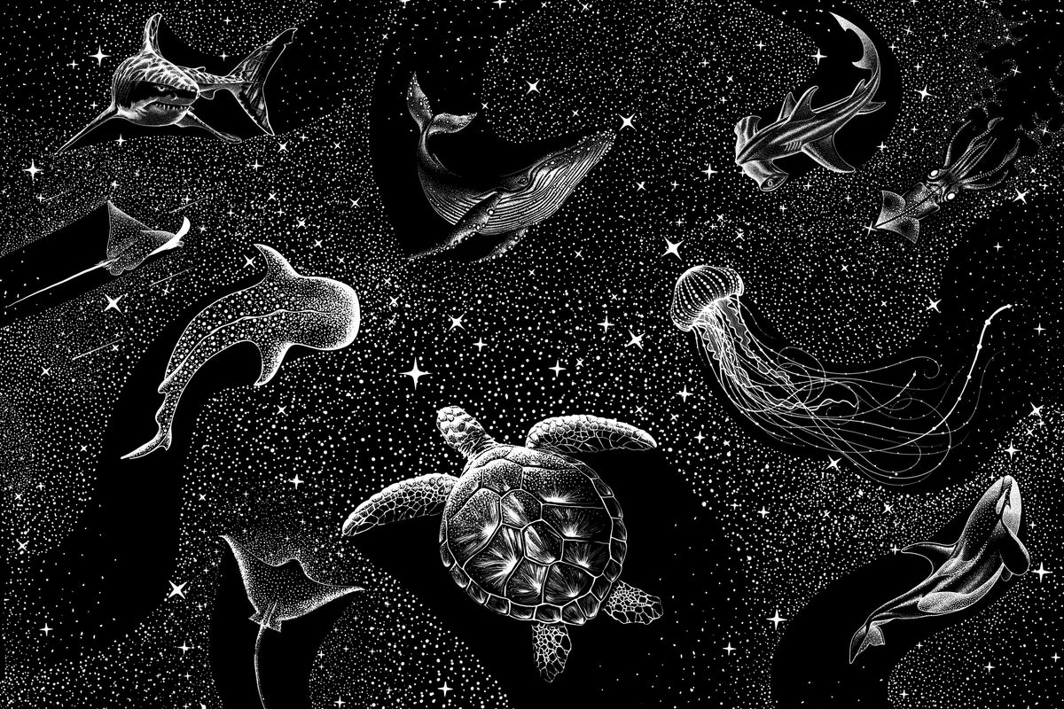 photo-wallpaper-cosmic-ocean-animals