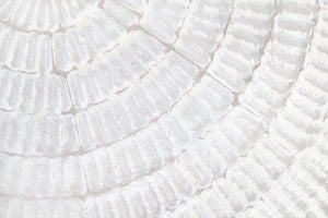 photo-wallpaper-soft-concentric-waves
