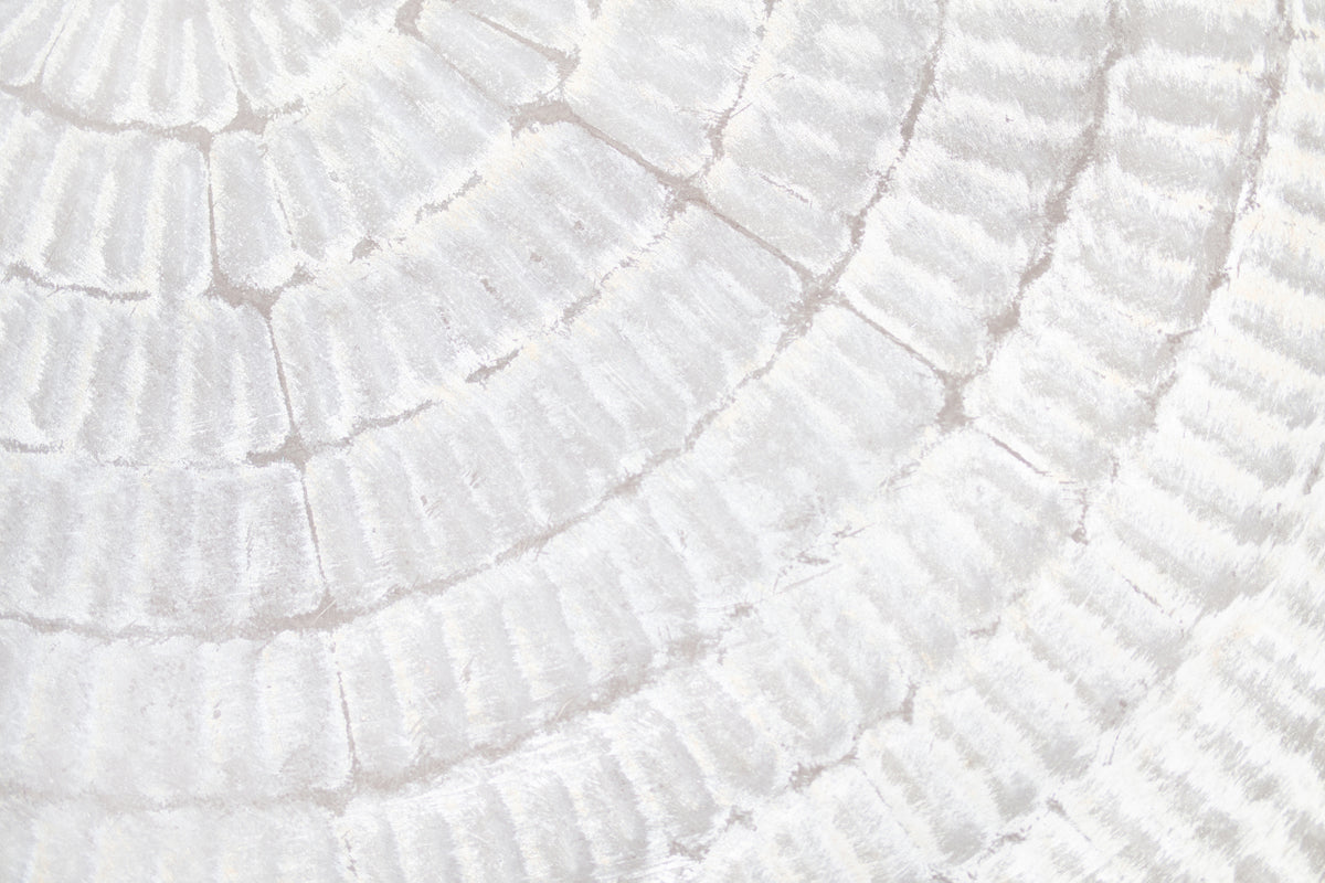photo-wallpaper-soft-concentric-waves