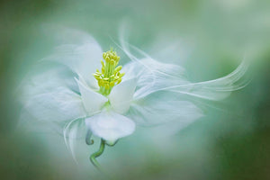 photo-wallpaper-mystical-xvs