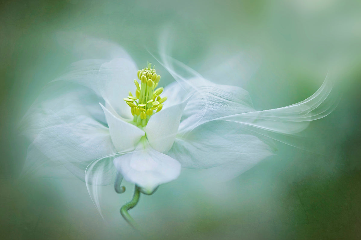 photo-wallpaper-mystical-xvs