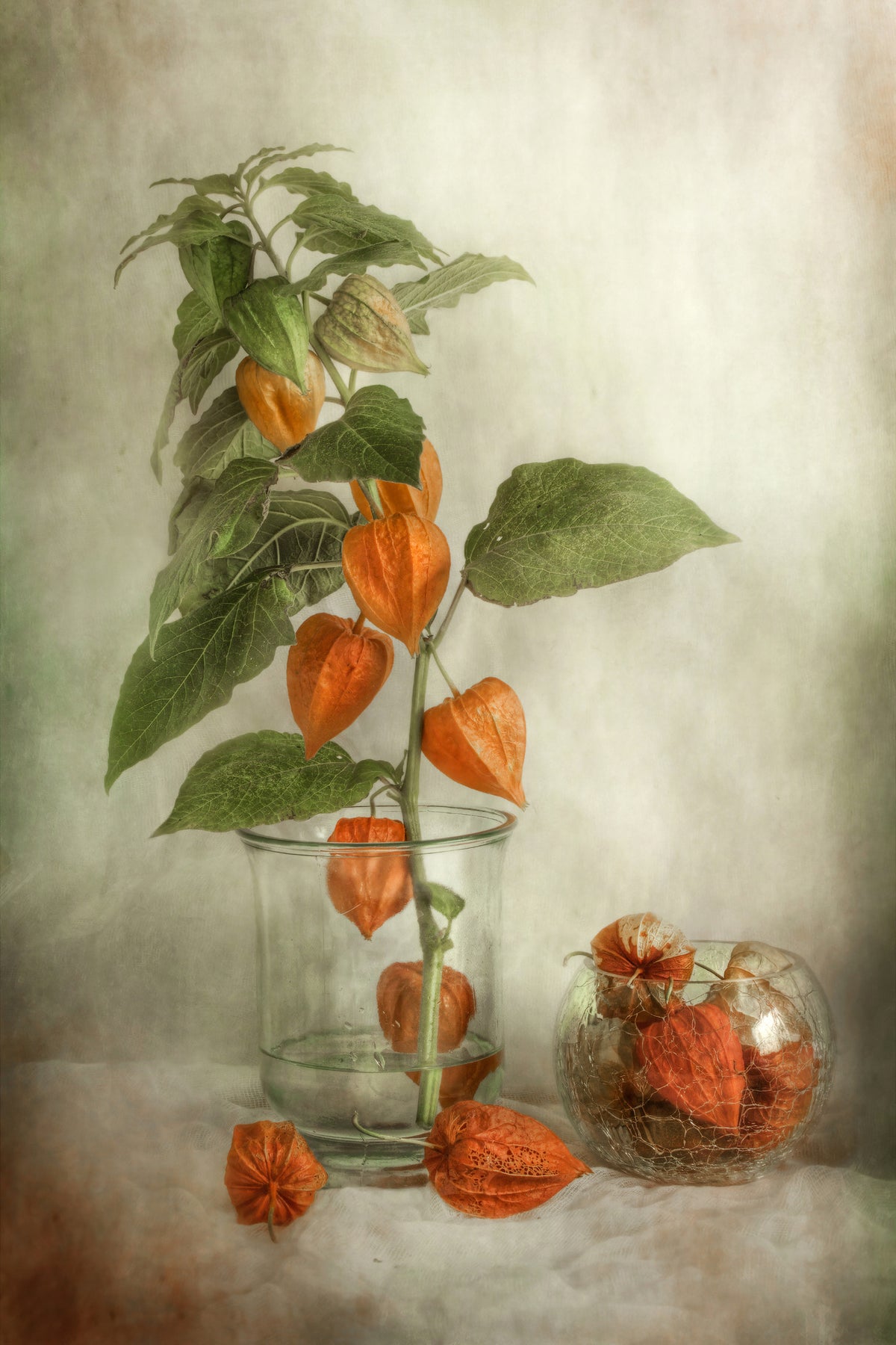 photo-wallpaper-lanterns-x
