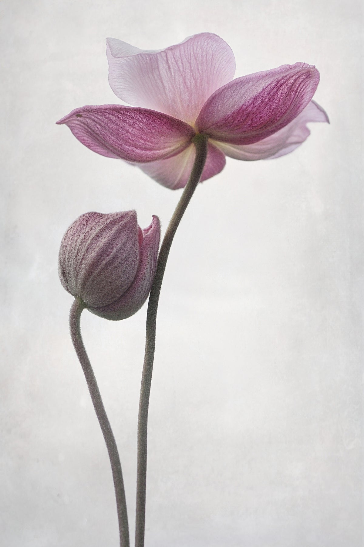 photo-wallpaper-a-little-touch-x