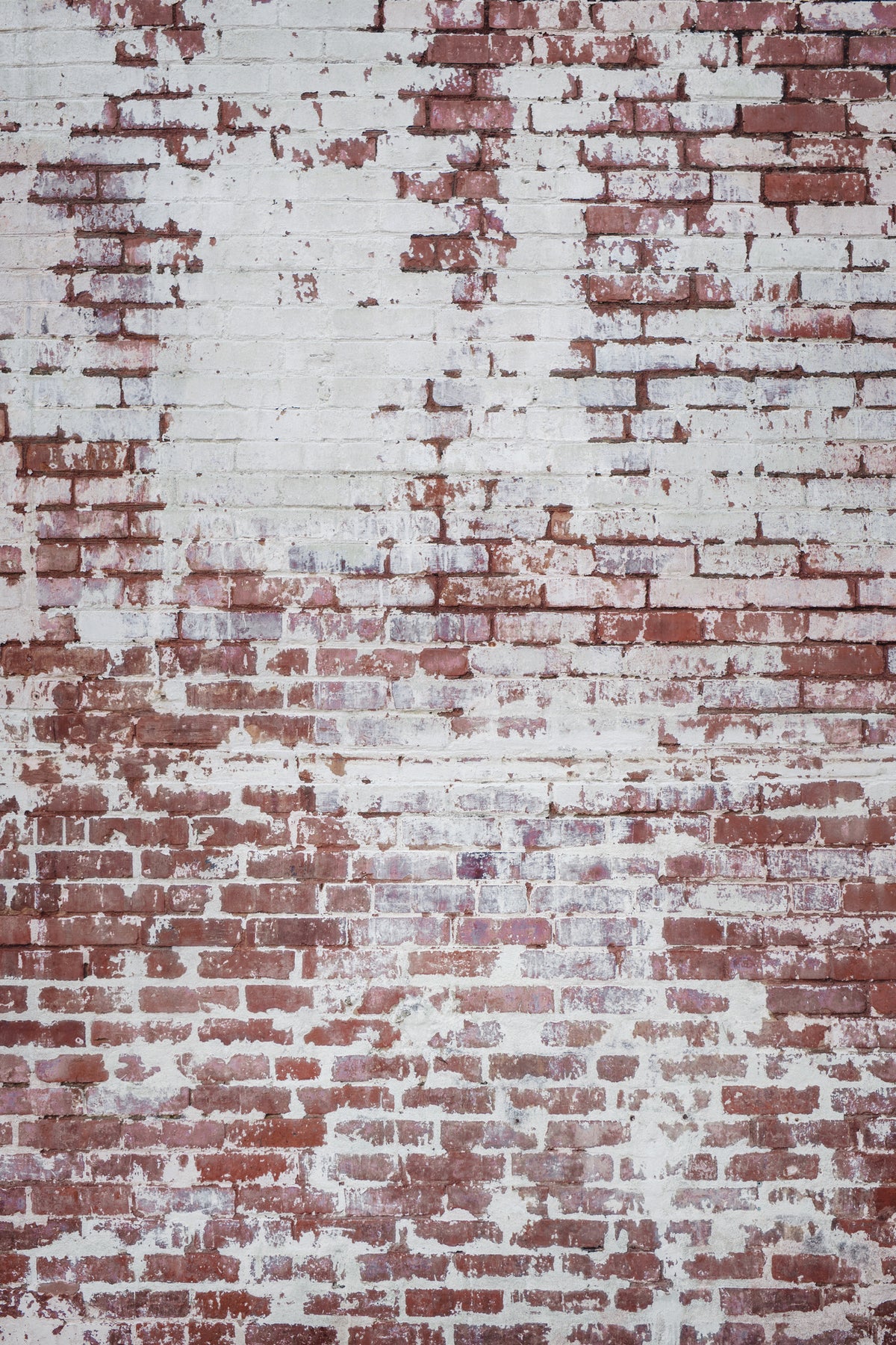 photo-wallpaper-peeling-white-paint-brick