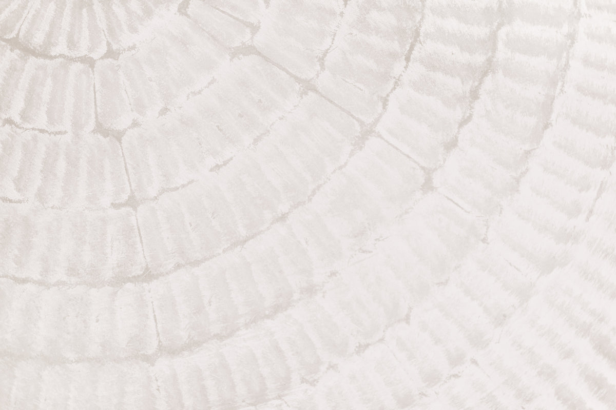 photo-wallpaper-soft-ripple-texture