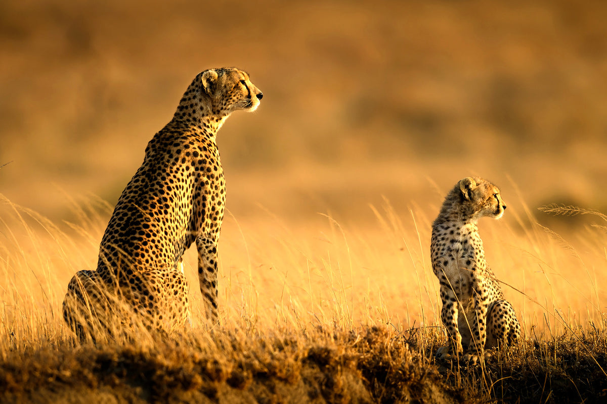 photo-wallpaper-mum-and-son-x